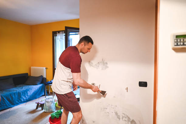 Best Same-Day Mold Removal  in Fellsburg, PA